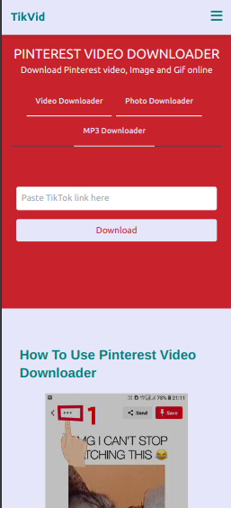 Paste Pinterest video URL